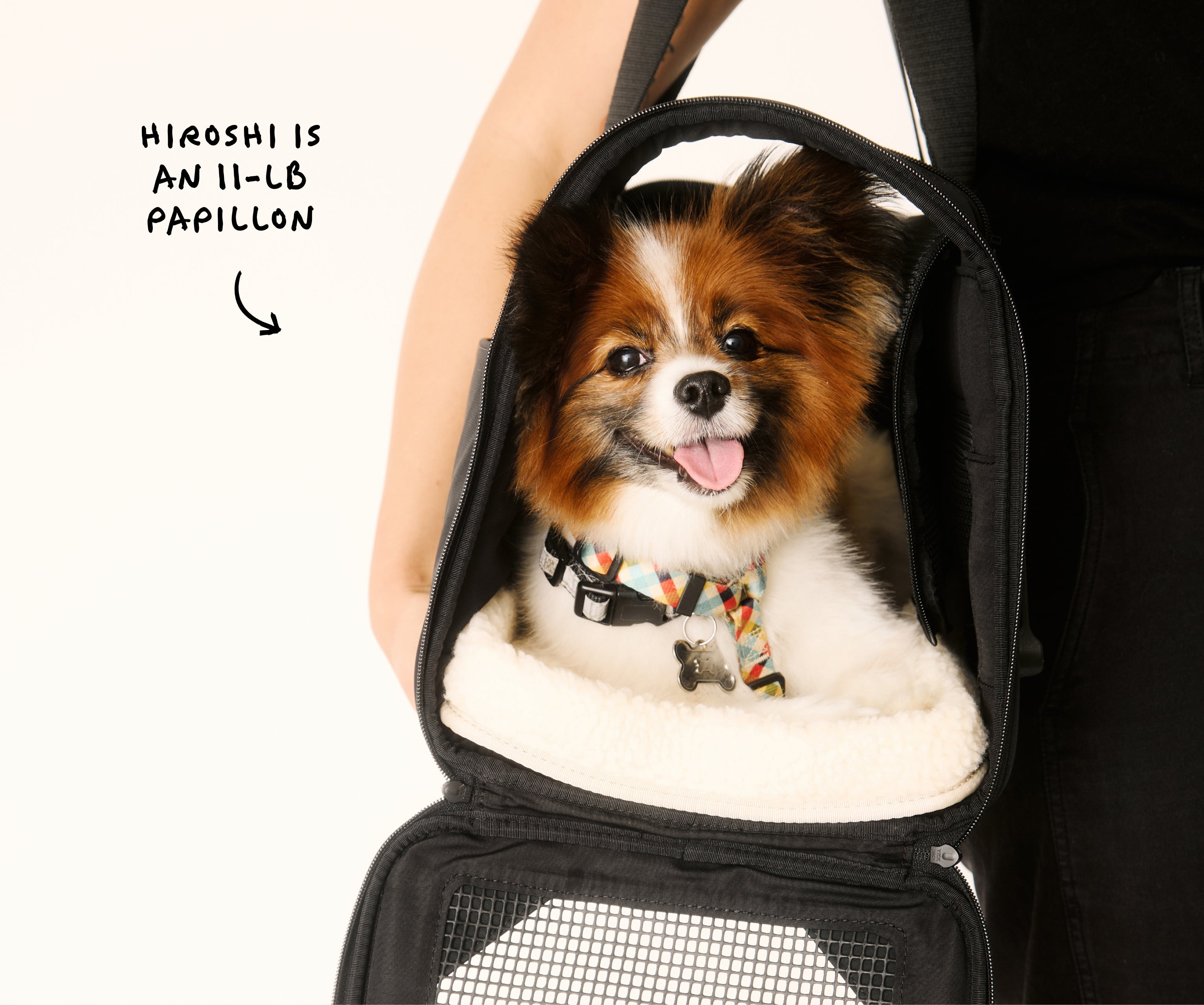 The Pet Carrier in Coast Blue
